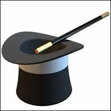 Que fait le magicien ?