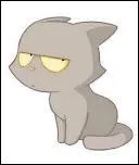 Comment s'appelle le chat de Lou ?