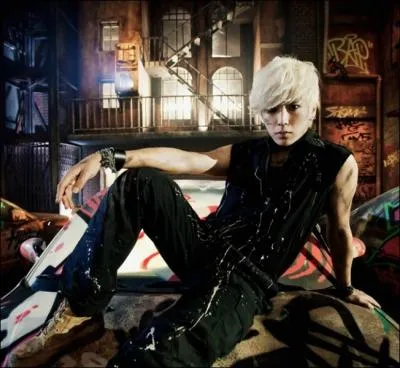 Qui est chanteur et rappeur ?