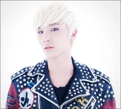 Qui est danseur principal et chanteur secondaire ?