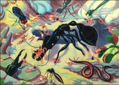 Le jardin des tourments (ou jardin des supplices), titre du tableau, o l'on voit de tout petits humains aux prises avec de gros insectes en tout genre, est une oeuvre de ? .