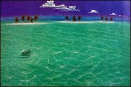 Crossing turtle (tortue traversant), est une oeuvre trs estivale et lumineuse de l'artiste ?