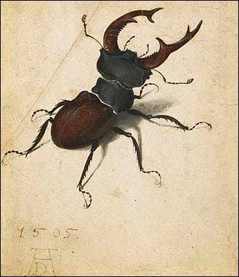 Ce trs beau scarabe est l'oeuvre de l'artiste ?