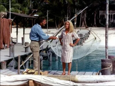 Yves (et Catherine) dans 'Le Sauvage', quel est son mtier ?