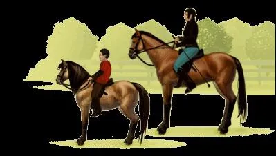 Que faut-il taper pour conseiller Equideow  un ami ?