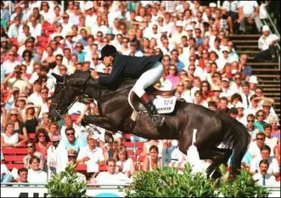 Voici l'un des plus clbres chevaux de saut d'obstacles et l'un des plus grand rival de Milton. Ce petit cheval d'1m58 est le fils d'un trotteur sans gloire et d'un pur-sang femelle. Il s'agit de :