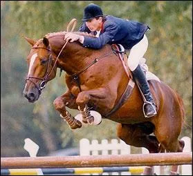 Ce cheval est n en 1976. Il appartenait  la famille Levallois et il tait mont par Eric Levallois. Il est mort  l'ge de 31 ans, le 18 novembre 2008, suite  une crise cardiaque. C'est :