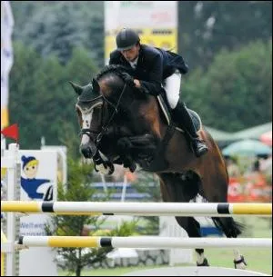 Ce cheval est le fils de Baloubet du Rouet. C'est :