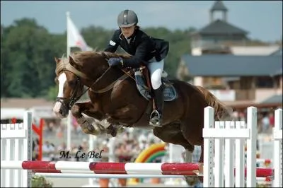 Cet talon,  la magnifique robe alezan brl crins lavs, s'appelle :