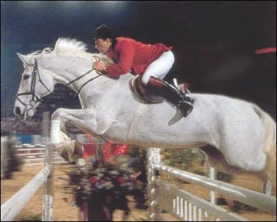 Ce hongre gris est l'ternel rival de Jappeloupe de Luze. Il est mort le 4 juillet 1999  cause de coliques. Il s'appelait :