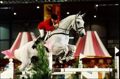 Ce cheval gris a remport deux mdailles olympiques sous la selle de Willi Melliger. C'est un cheval qui mesure 1m85 pour 700 kg. Vous avez reconnu :