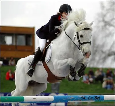 Ce petit poney d'1m48 rivalise avec les plus grands. Le connemara blanc fut vice-champion d'Europe sous la selle d'Alice Chambaud. Il est maintenant  la retraite. C'est :