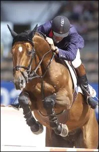 Ce grand crack de l'obstacle est mort le 29 aot 2009 suite d'une hernie inguinale. C'tait un grand selle franais qui toisait 1m70. Eric Navet tait son cavalier. C'est :
