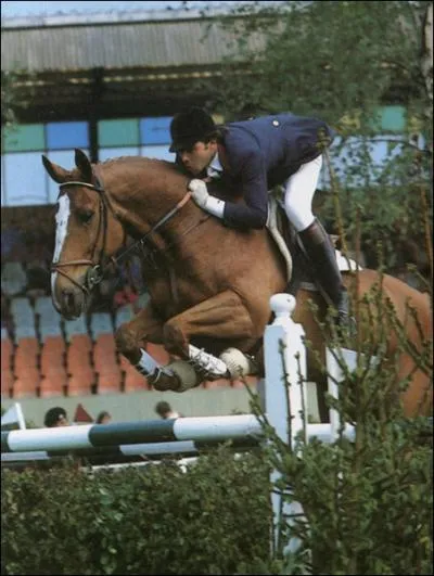 Cet hongre anglo-arabe est devenu l'un des piliers de l'quipe de France de CSO des annes 1980 sous la selle de Frdric Cottier. Il a t mis  la retraite  19 ans. Il s'appelle :
