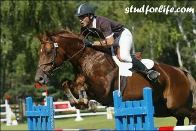 Ce cheval avait l'habitude de sauter les obstacles en ruant. Il est le pre de nombreux poulains comme Baloubet du Rouet. Il tait mont par Gilles Bertrn de Balanda. C'est :