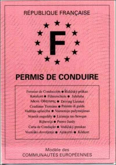 Lequel doit on possder pour conduire les bus ?