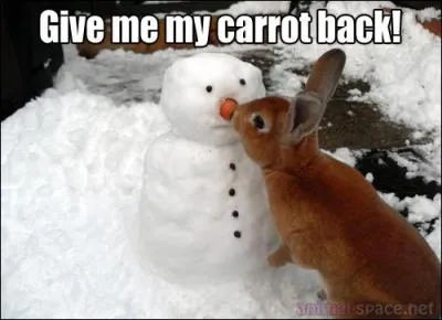 'What's up Doc' l'a rendu clbre dans le monde entier !