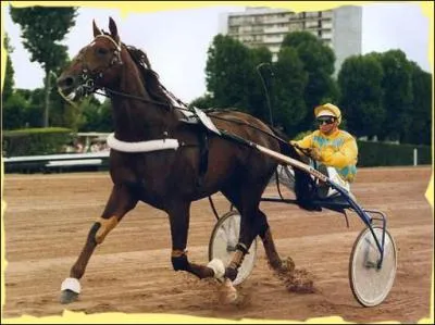 Il est caractriel, ttu, mord et dteste les autres chevaux. Mais voil, il est quadruple champion du prix d'Amrique. Maintenant, il a pris une retraite bien mrit. Ce trotteur bai-brun est :