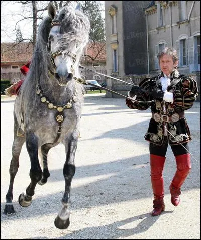 Ce magnifique cheval ibrique gris pommel appartient au clbre dresseur Mario Luraschi. Au dpart, ce cheval est mal dbourr. Cet talon gris s'appelle :