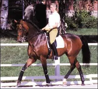 Ce cheval de dressage et sa cavalire, Nicole Uphoff, ont remport la mdaille d'or olympique en 1988 et 1992. Ils ont t champions d'Europe en 1989 et du monde en 1990. Ce grand cheval se nomme :