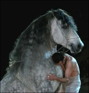 Il est le plus massif du thtre du Centaure mais pas le moins gracieux. Accompagn de son compre Manolo, il sait faire la courbette, la croupade, la cabriole et bien d'autres figures. Ce trait est :