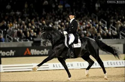 Cet talon est le plus connu dans le monde du dressage. Il gagne  Hickstead avec la note de 89, 40%. Mais c'est  Londres qu'il remporte la note jamais atteinte de 92, 3%. Ce grand noir est :