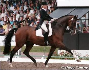 Ce cheval de dressage est connu pour ses sauts de mouton en pleine reprise. Champion d'Europe en 1987, vice-champion olympique en 1988 et champion du monde en 1989, ce grand cheval bai s'appelle :