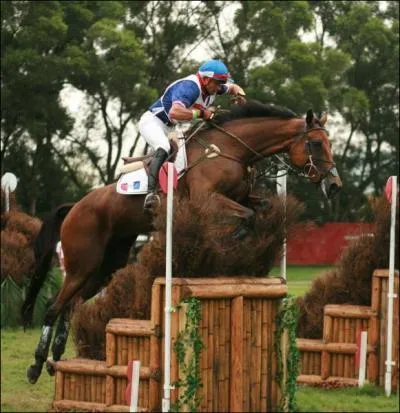 Ce selle franais est connu dans les concours complets. En 2002, il offre la premire place  son cavalier, Jean Teulre, aux jeux questres mondiaux . C'est :