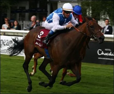 Cette pouliche entre dans l'histoire de l'hippisme en 2011 en remportant pour la quatrime fois conscutives le prix Rothschild. Cette pouliche de 6 ans s'appelle :