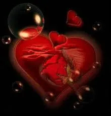 Le coeur est class dans quelle catgorie de muscles ?