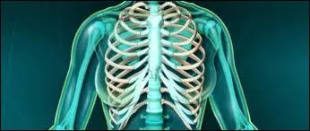 Comment appelle-t-on l'ensemble des ctes ?