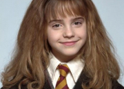 Quiz ~Hermione Granger~