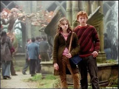 Tome / Film 3 : Selon Ron, de quoi a-t-elle le plus peur ? De quoi est-elle terrorise en ralit ?