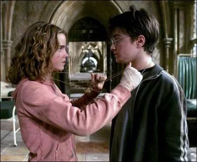 Pour suivre tous ses cours, McGonagall lui prte un Retourneur de Temps. Combien de tours fait-elle pour sauver Sirius et Buck ?