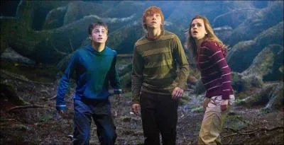 Comment Graup l'appelle-t-il ?