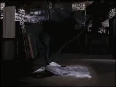 A qui le nant drobe-t-il en premier les pouvoirs d'une des sorcires ?