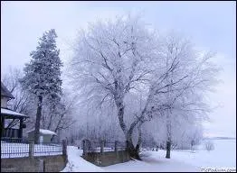 Quel a, incontestablement, t l'hiver le plus froid depuis 1900 ?