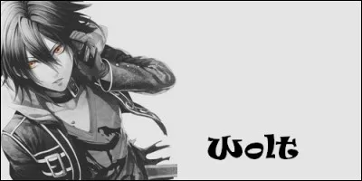 De quel prénom provient Wolt ?