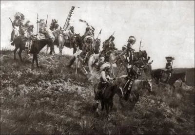 Le mustang est d'origine amricaine !