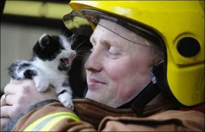 Cet homme vient de sauver un petit panda !