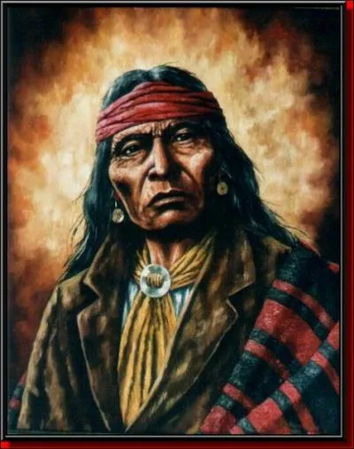 Restons avec les Indiens, mais ceux d'Amrique du Nord cette fois. Vous souvenez-vous quelle tribu fut mise en musique par The Shadows, groupe de rock anglais, considr comme le 1er du genre ?