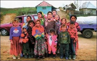 Le Gitan a t chant dans les annes 80 par Daniel Guichard. En 2000 quel chanteur canadien, n  Sherbrooke, a dit dans une de ses chansons : 'Je rvais, enfant, de vivre libre comme un gitan' ?