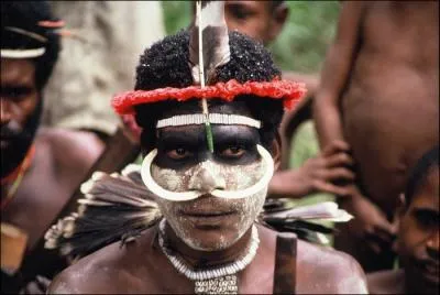 Quel acteur-chanteur dcd en 70 a chant 'Papous, Papous, deux Papous, deux Papous gentils comm' tout, ont cueilli pour s'habiller des guirlandes d'orchides' ?