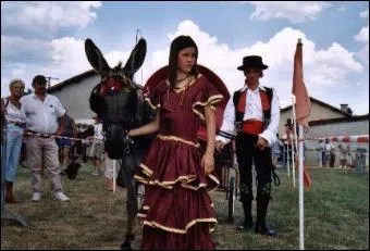 Quel groupe punk o voluaient Loran et Fanfan accompagns par la 'bote  rythmes' et dont le nom fait penser  San Antonio, a chant 'Tzigane, Tzigane' dans son album 'Abracadaboum' sorti en 87 ?