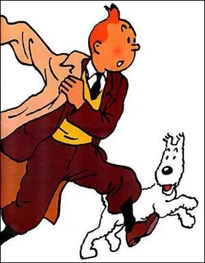 Dans les aventures de Tintin, Dupond et Dupont sont identiques.