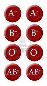Quiz Anatomie