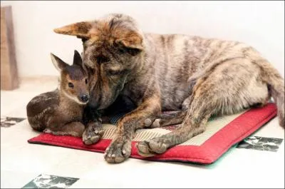 Le sommeil occupe un tiers de notre vie !