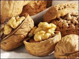 Sur le plan botanique, on estime que la noix n'est pas un fruit drupe :