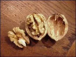 Qu'est-ce qui est inconsommable dans la noix ?