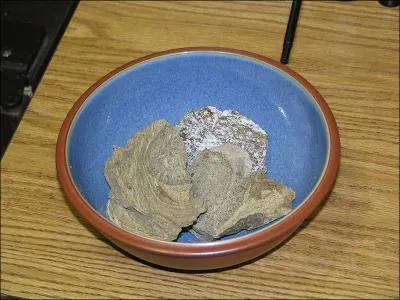 Quelle est cette concrétion intestinale du cachalot utilisée principalement en parfumerie ?